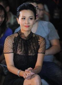 刘嘉玲爆料视频大全下载,揭秘娱乐圈幕后故事