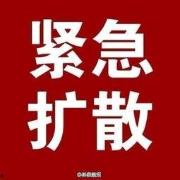 明日新典藏爆料最新消息,揭秘神秘新品，引领潮流新趋势