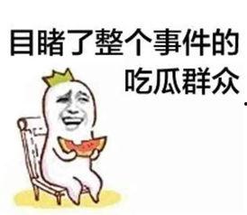 718娱乐你我她吃瓜官网,揭秘你我她吃瓜官网，畅享娱乐盛宴