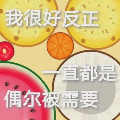 娱乐吃瓜有记可寻,一网打尽热门事件